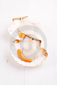 Two open raw scallops, on white wooden backdrop