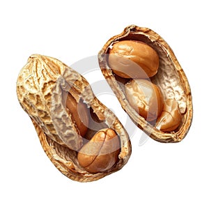 Two Opened Peanut Shells with Kernels