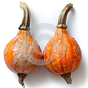 Two orange calabaza pumpkins displayed on white surface