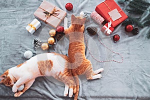 Two orange kittens on carpet in christmas holiday with decoration and ornament.