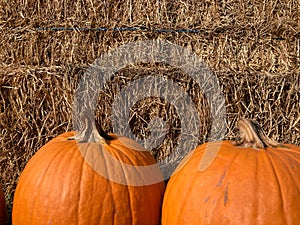 Two orange pumpkins against a wall of hay bales