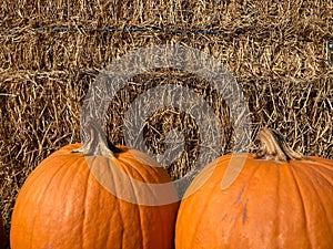 Two orange pumpkins against a wall of hay bales
