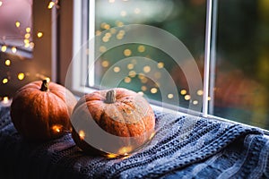 Two orange pumpkins on gray knitted plaid near window in daylight surrounded with warm garland lights with golden bokeh