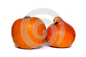 Two orange pumpkins isolated on white background with copy space