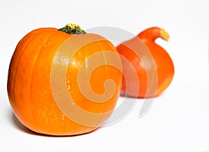 Two orange pumpkins isolated on white background with copy space