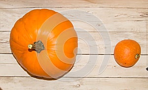 Two orange pumpkins large and small, on a light wooden background, top view - background of Halloween or autumn holidays