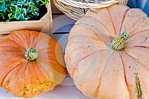 Two orange pumpkins and a wooden ivy box