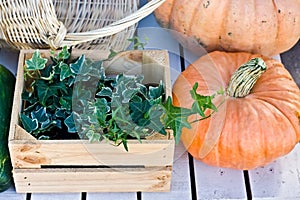 Two orange pumpkins and a wooden ivy box