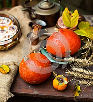 Two orange pumpkins on wooden rustic table with ears of wheat, sackcloth, persimmons, autumn leaves