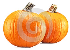 Two orange round pumpkins, symbol of Halloween isolated on white background