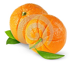Two isolated oranges