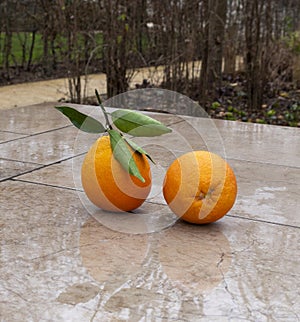 Two oranges