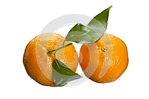 Two oranges