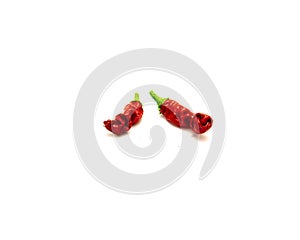 Two organic Peter pepper or Penis pepper rare ripe fruit with distinctively, interesting, phallic shape isolated on white