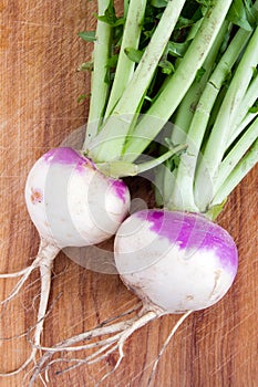 Two organic purple top turnip