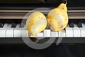 Two organic yellow pears placed on the piano key