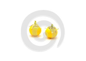 Two over ripen yellow small round eggplant for heirloom seed saving isolated on white background photo