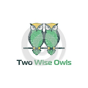 Two owl logo with colorful style logo designs