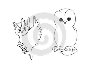 Two owls, colouring book page uncolored