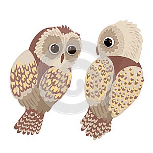 Two owls look at each other. Cute bright birds. Vector characters on white background