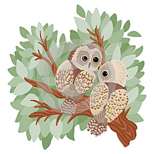 Two owls are sitting on a branch of a tree in the forest. Vector illustration.
