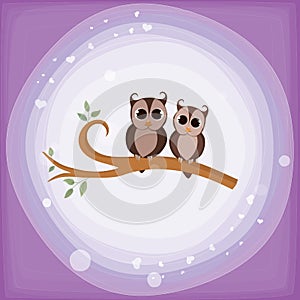 Two owls - two owls on a branch