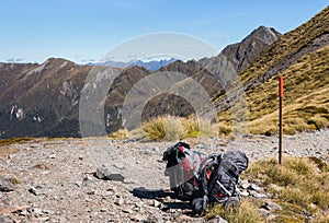 Two packed backpacks on hiking track in New Zealand