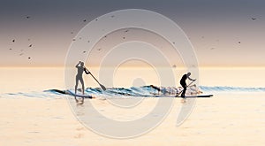 Two Paddle Boarders photo