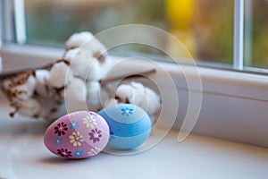 Two painted blue and purple Easter eggs near window in daylight with blurred cotton branch on background