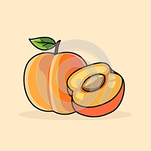 Two pairs of apricots fruit vector illustration