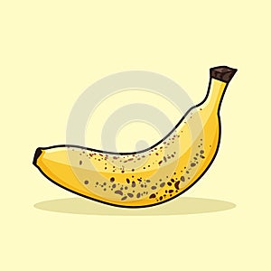 Two pairs of bananas fruit vector illustration