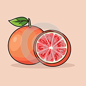 Two pairs of blood orange fruit vector illustration