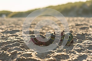 Two pairs of sandals in the sand on a beach