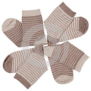 Two pairs of socks, half folded and lying in a circle, in the shape of a camomile, on a white background