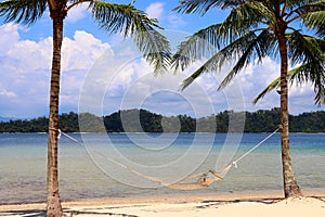 Two palm trees with a hammock on the beach - Gaya Island Malaysia Asia