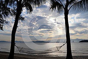 Two palm trees with a hammock on the beach - Gaya Island Malaysia Asia