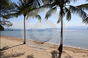 Two palm trees with a hammock on the beach - Gaya Island Malaysia Asia