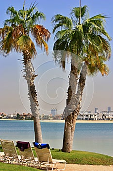 Two palms with Dubai skyline