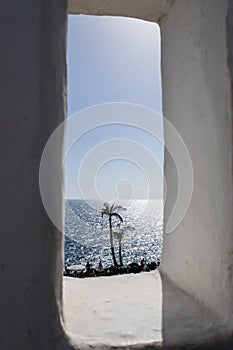 Two palms with the sea at background