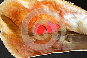 Two paper red hearts in Pinna nobilis, noble pen shell in hand, macro photography, closeup