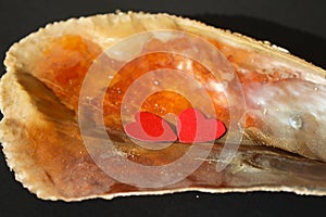 Two paper red hearts in Pinna nobilis, noble pen shell in hand, macro photography, closeup