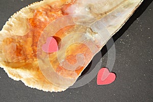 Two paper red hearts in Pinna nobilis, noble pen shell in hand, macro photography, closeup