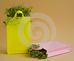 Two paper shopping bags with micro greenery on a beige background. Spring agriculture and planting concept. Natural organic bio