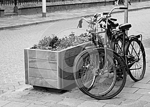 Two parked bicycles on the street in Black and White