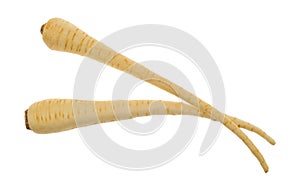 Two parsnips on a white background