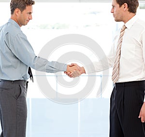 Two partners concluding a deal by shaking hands