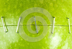 Two parts of green apple stapled together