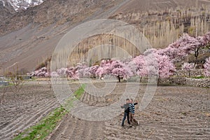 Two passu village boys with cherry blossum tress background