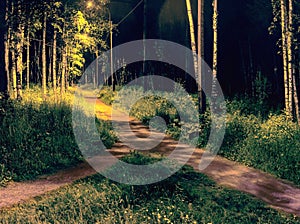 Two paths among grass and trees merged into one. Night view in the park with electric lighting of lanterns