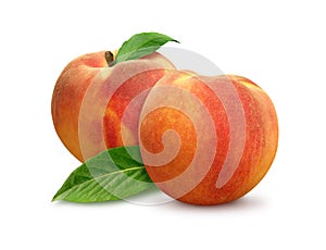 Two Peaches isolated img